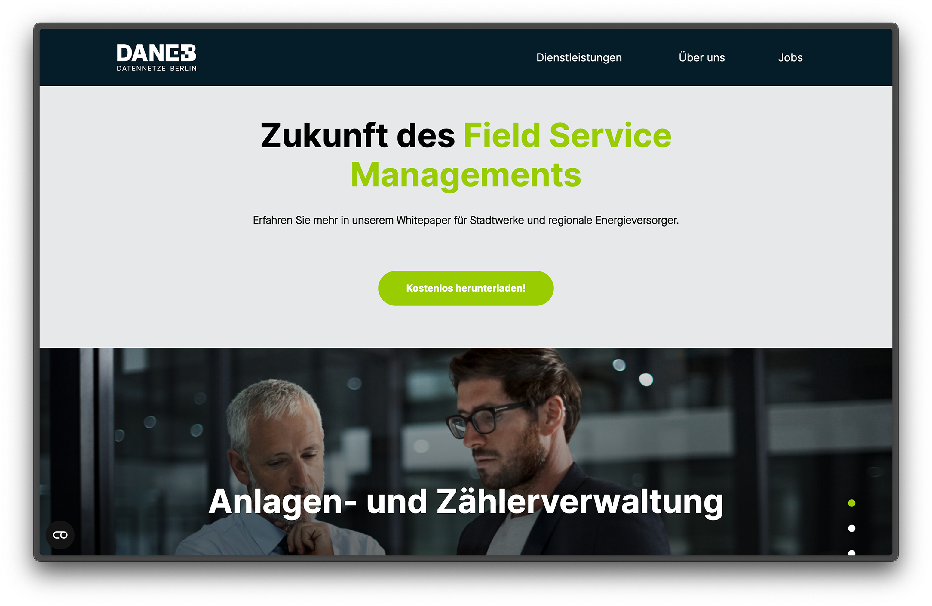 DANEB Suite website screens