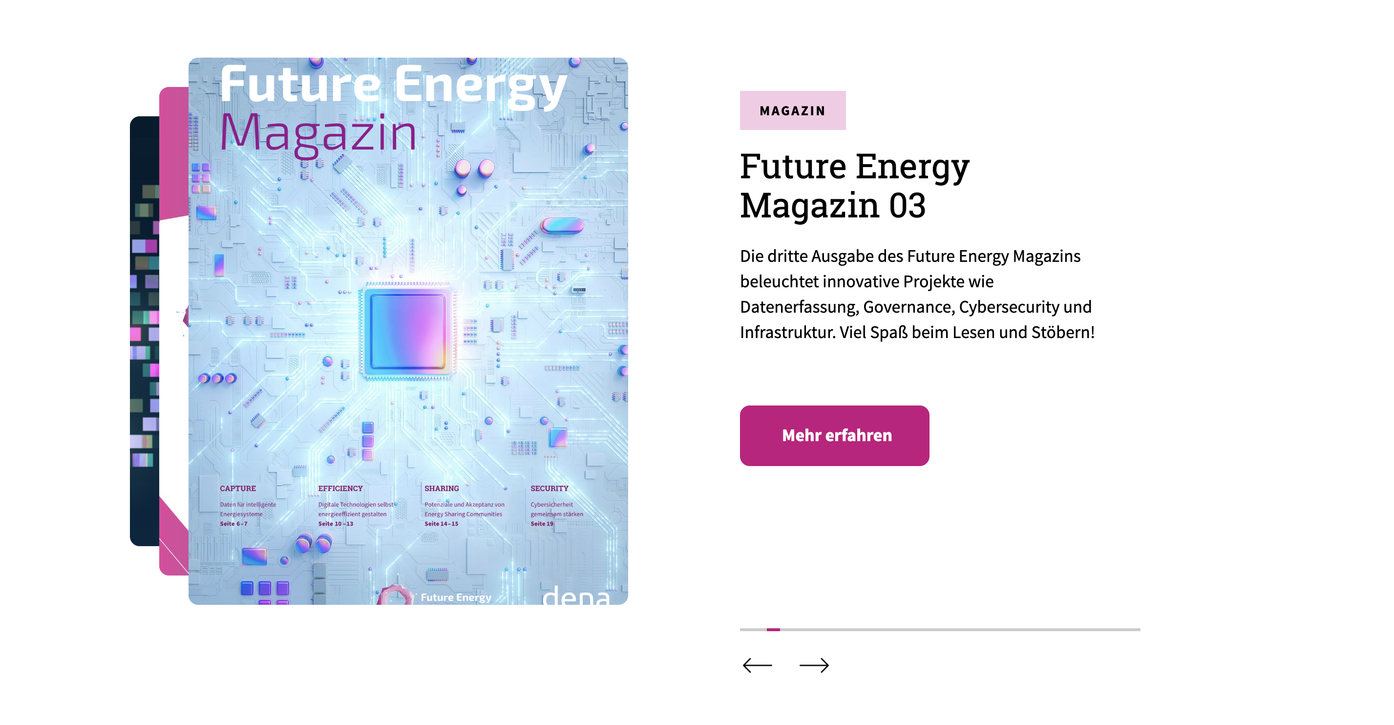 dena Future Energy Lab — inner pages